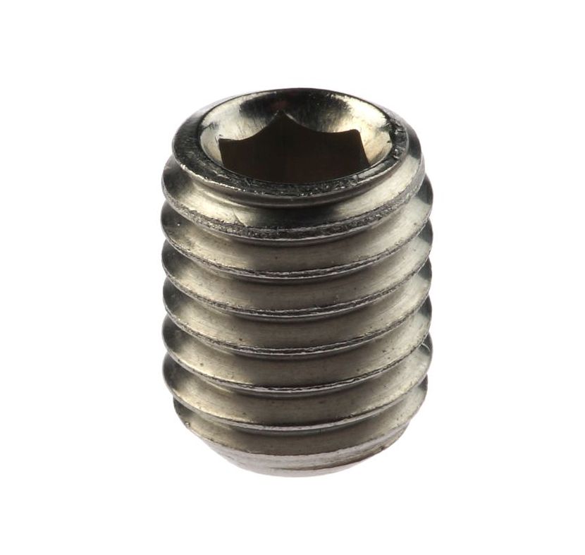 Een close-up van een roestvrijstalen stelschroef met inbuskop op een witte achtergrond, ideaal voor industriële toepassingen.